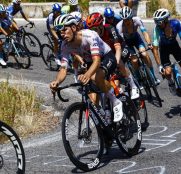 UAE y Visma siguen fallando en la Vuelta: el portugués Almeida pone pie en tierra